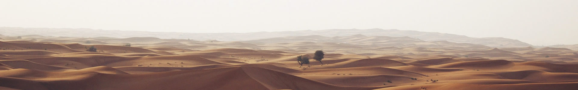 ɽлؽƷ޹˾